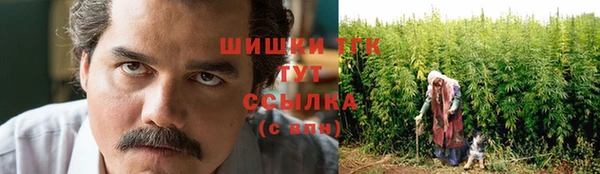 бутират Богородицк