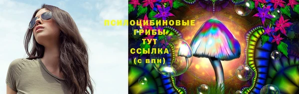 бутират Богородицк