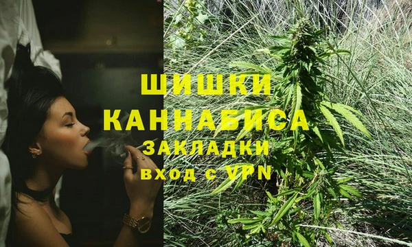 крисы Богородск