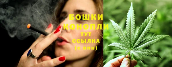 бутират Богородицк