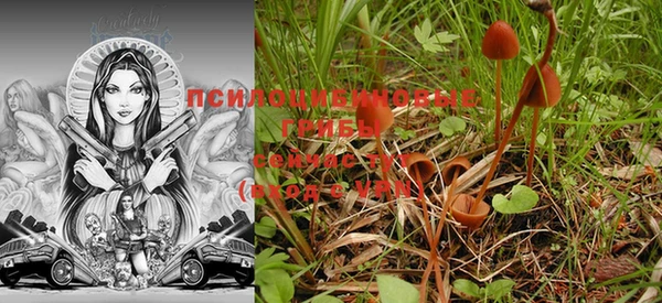 MESCALINE Богданович