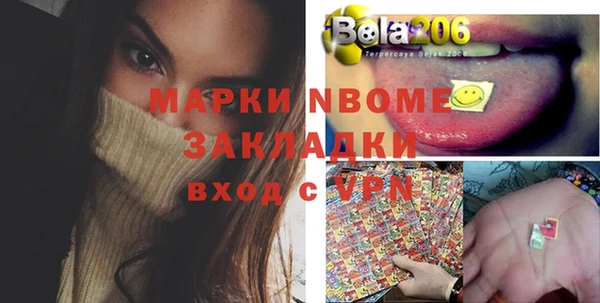 амф Бородино