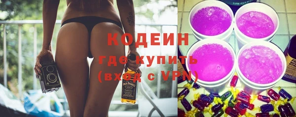 амф Бородино
