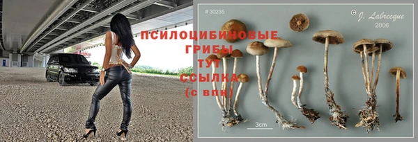 ешки Бугульма