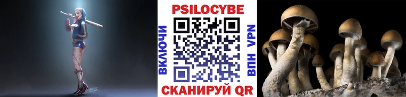 hydra как войти  хочу   Бугуруслан  Псилоцибиновые грибы Psilocybine cubensis 